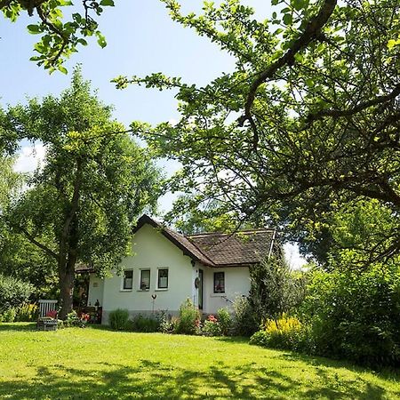Ferienhaus Am alten Bahndamm Waldsassen Exterior foto